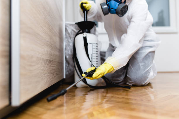 Best Residential Pest Control  in Brookdale, NJ