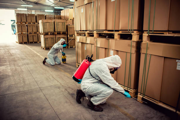 Best Pest Control for Homes  in Brookdale, NJ