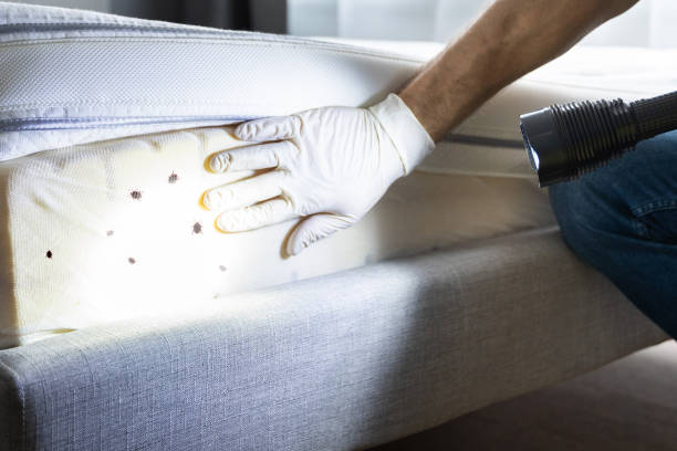 Best Emergency Pest Control  in Brookdale, NJ